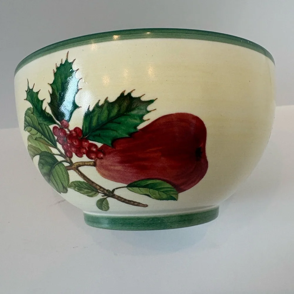 Villeroy & Boch French Noel Salad Rice Bowl Christmas Holiday 5 3/4” Fruit Nice
